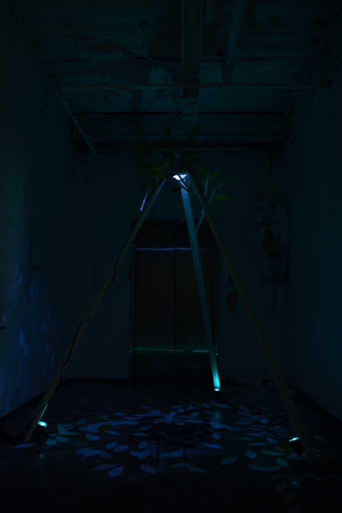 regenerative-1