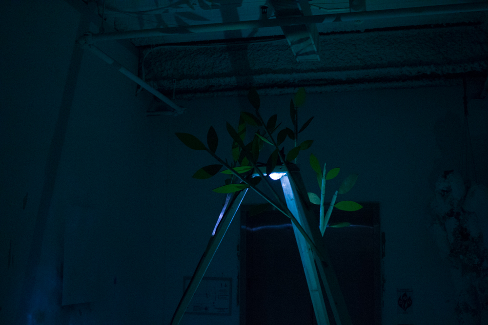 regenerative-6